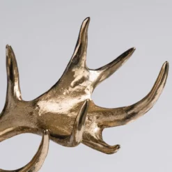 Monarch -Art Prints Shop swi 4 stag darren 2023 03 29T11 53 14