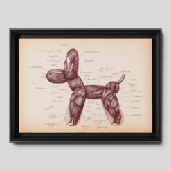 Anatomical Balloon Dog