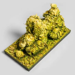 Happy Leaf Dog -Art Prints Shop whn ori por 31142 happy leaf dog 7 2023 07 12T12 35 41