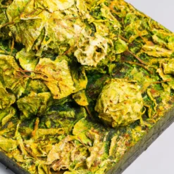 Happy Leaf Dog -Art Prints Shop whn ori por 31142 happy leaf dog 8 2023 07 12T12 35 41