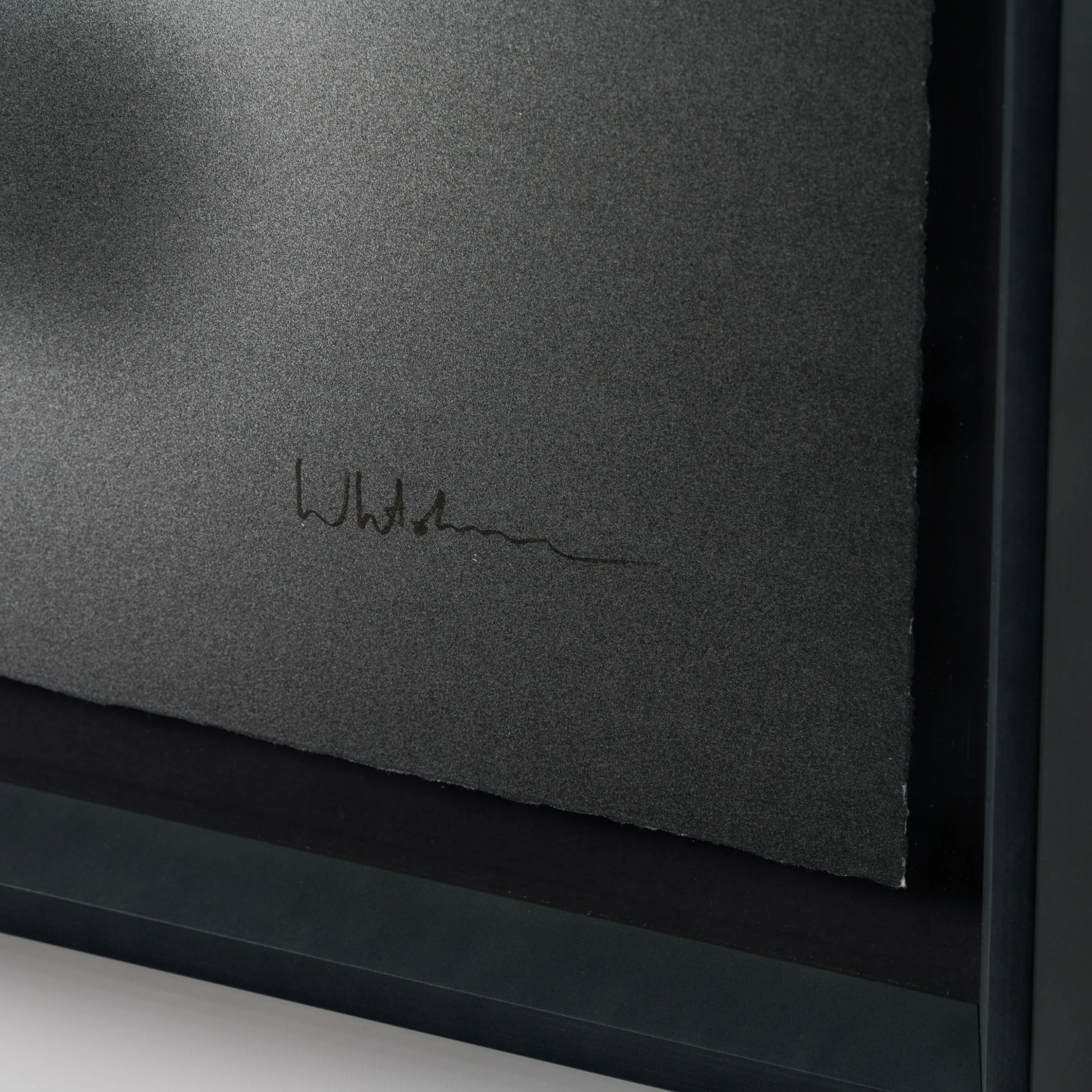 Gone Bros (Large) 5 Gone Bros (Large) - Image 5