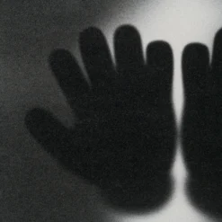 Gone, Autumn 2023 - Set Of Two (Large) -Art Prints Shop whn sle hum 31722 gone bros 90 x 90 6 2023 11 06T10 56 03